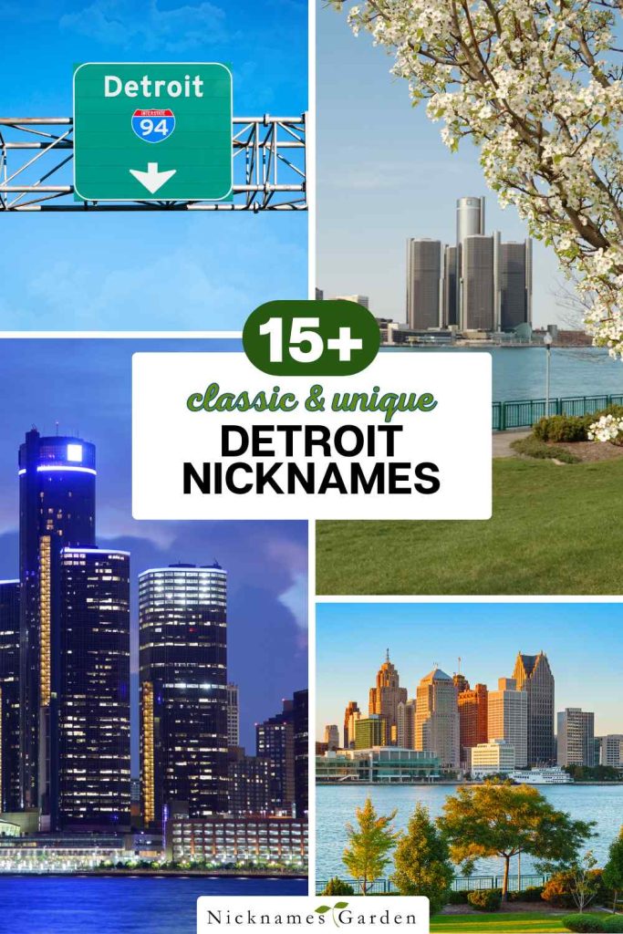 Detroit nicknames pin