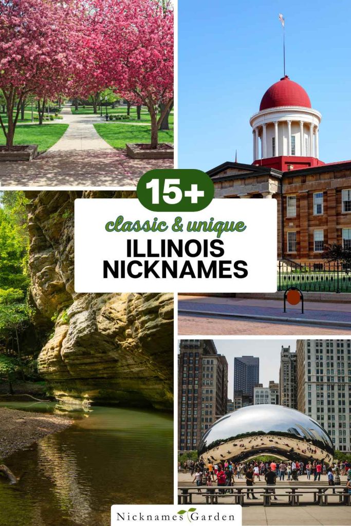 Illinois nicknames pin