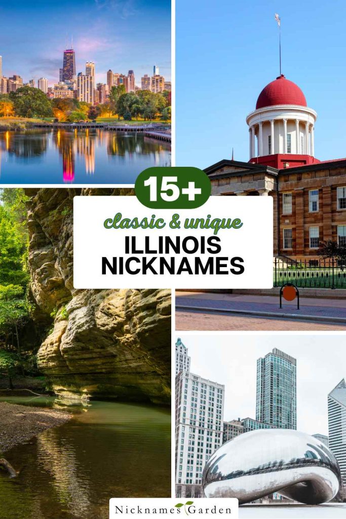 Illinois nicknames pin