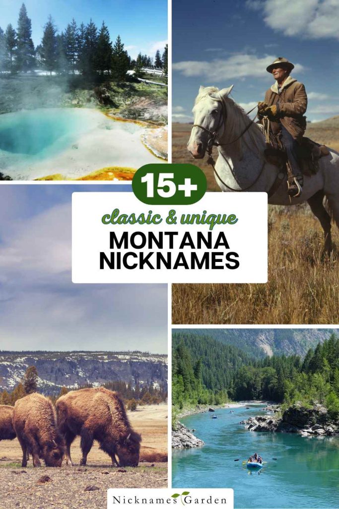 Montana nicknames pin