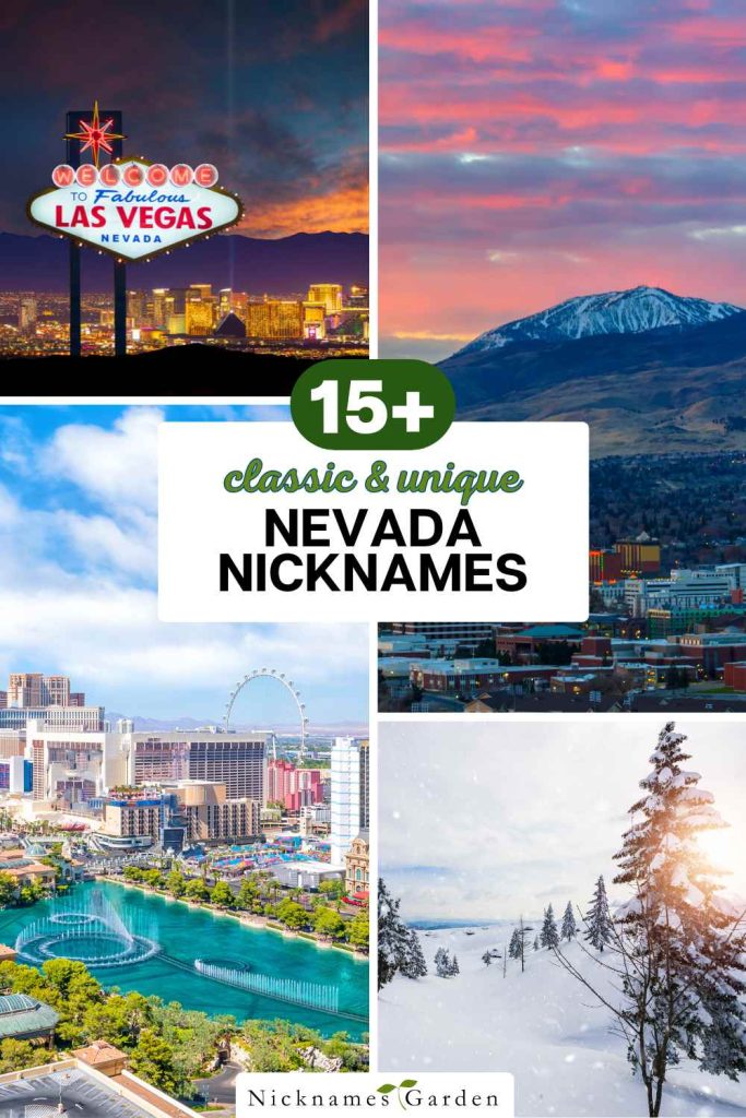 Nevada nicknames pin