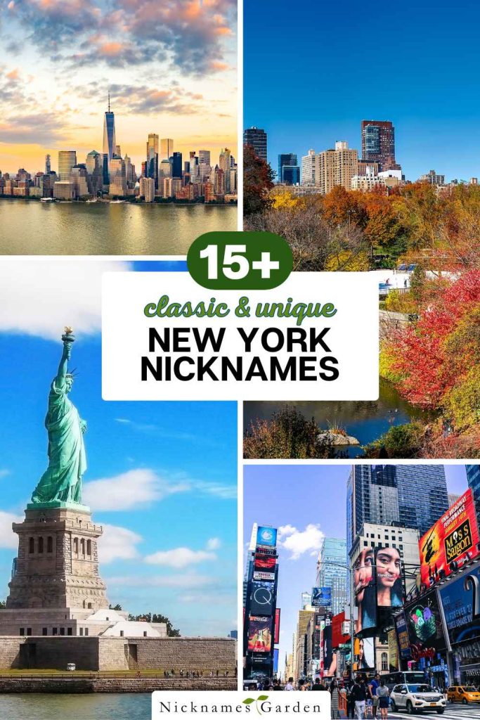 New York nicknames pin