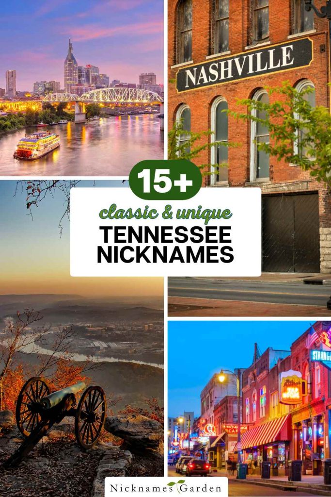 Tennessee nicknames pin