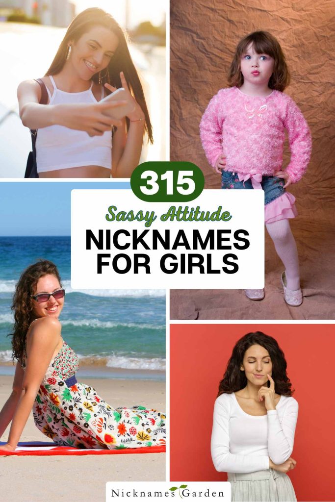 attitude nicknames for girls pin