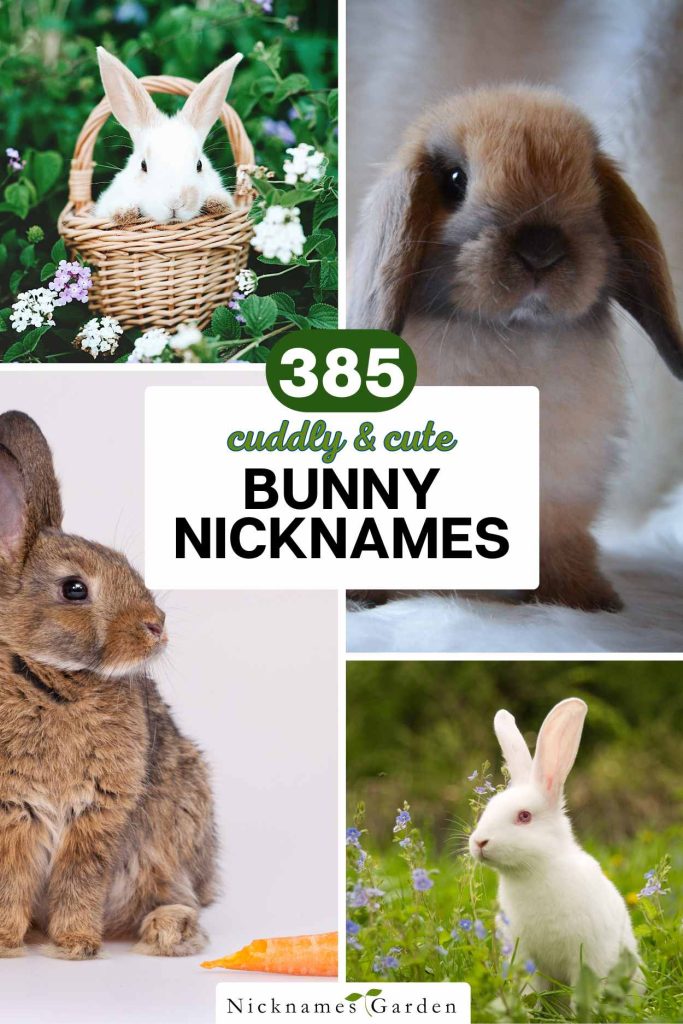 bunny nicknames pin