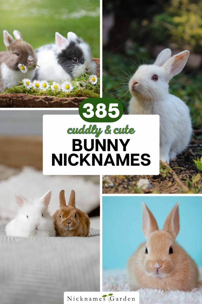 bunny nicknames pin