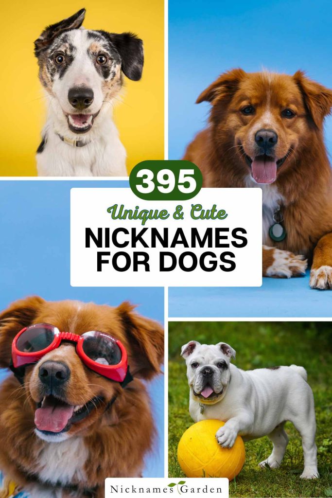 dog nicknames pin