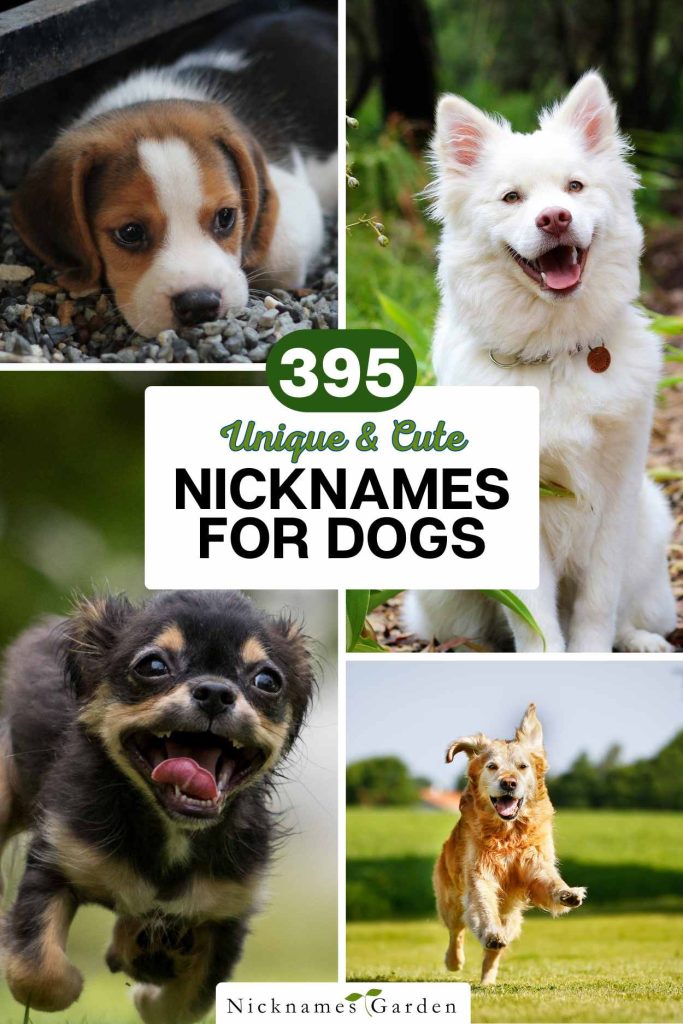 dog nicknames pin