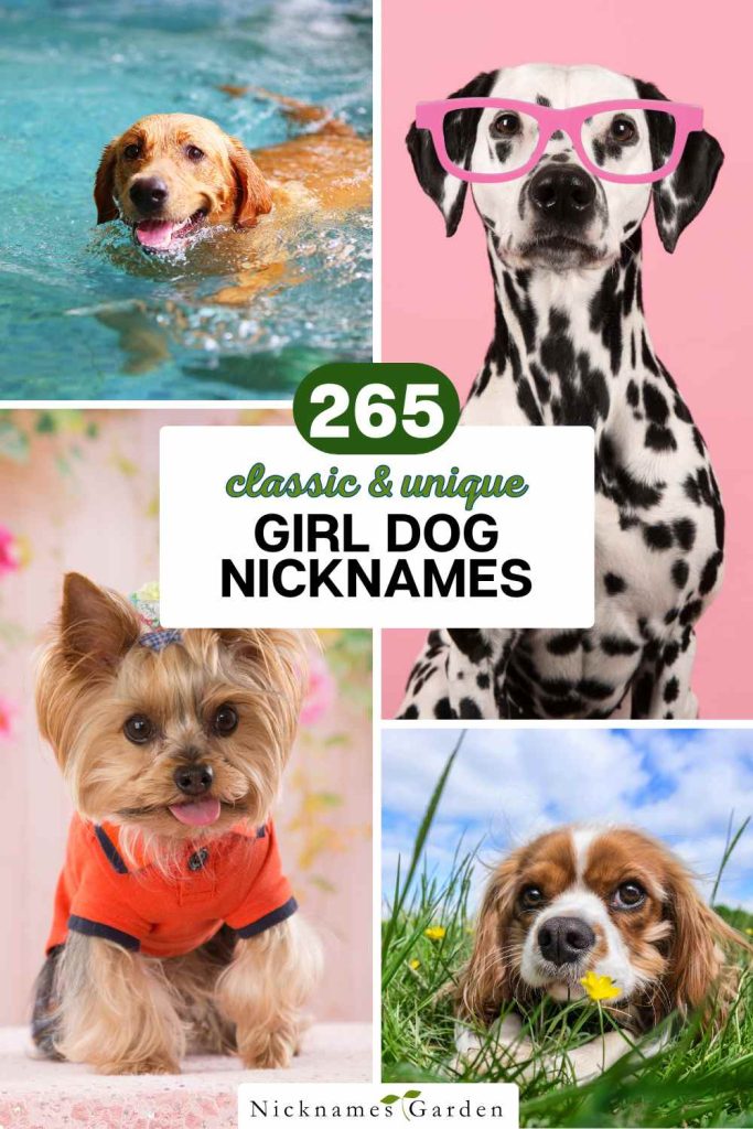 girl dog nicknames pin