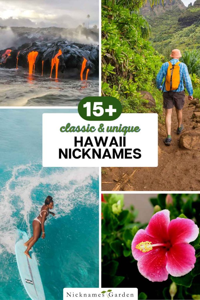 hawaii nicknames pin