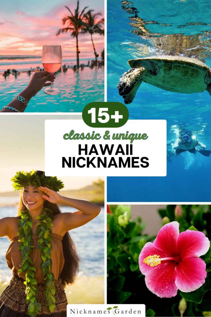 hawaii nicknames pin