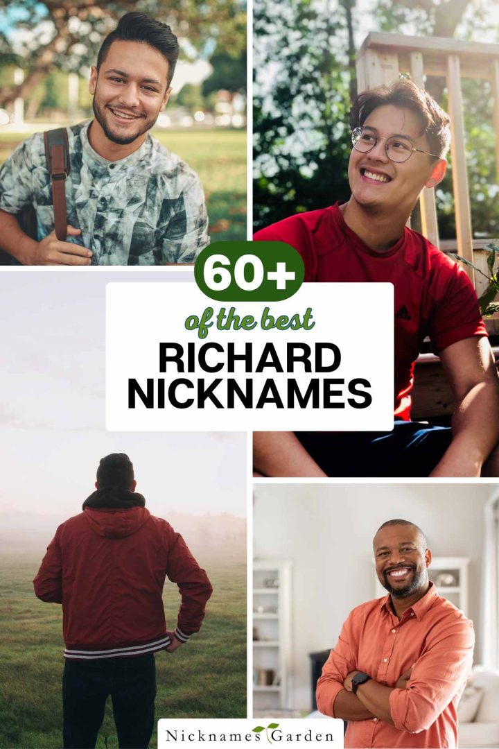 RICHARD NAME MEANING ORIGIN POPULARITY NICKNAMES visual data 2