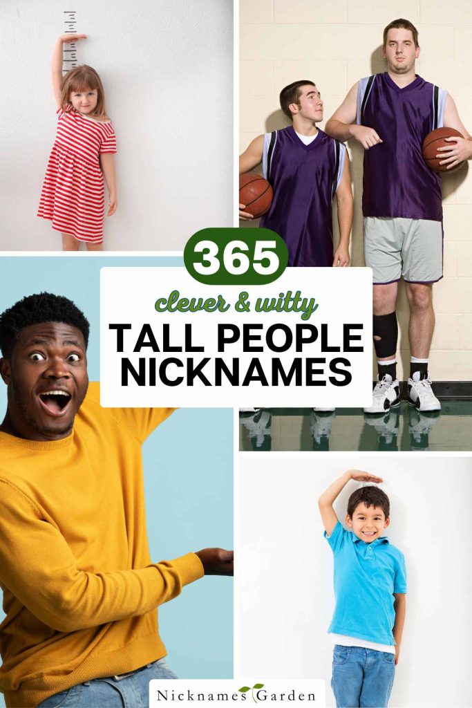 nicknames for tall people pin