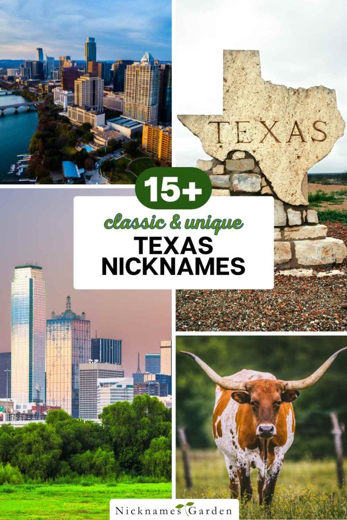 texas nicknames pin