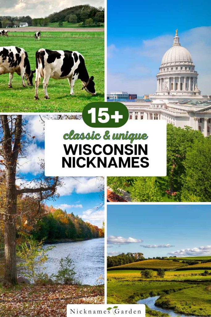 wisconsin nicknames pin