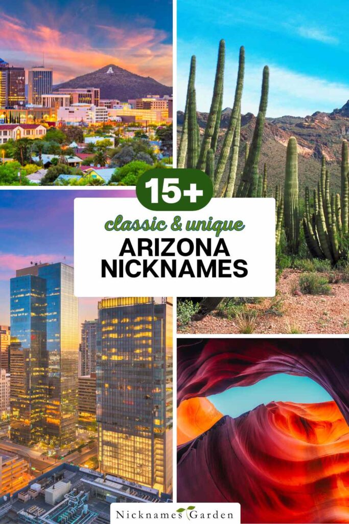 Arizona nicknames pin