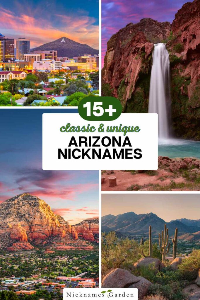 Arizona nicknames pin