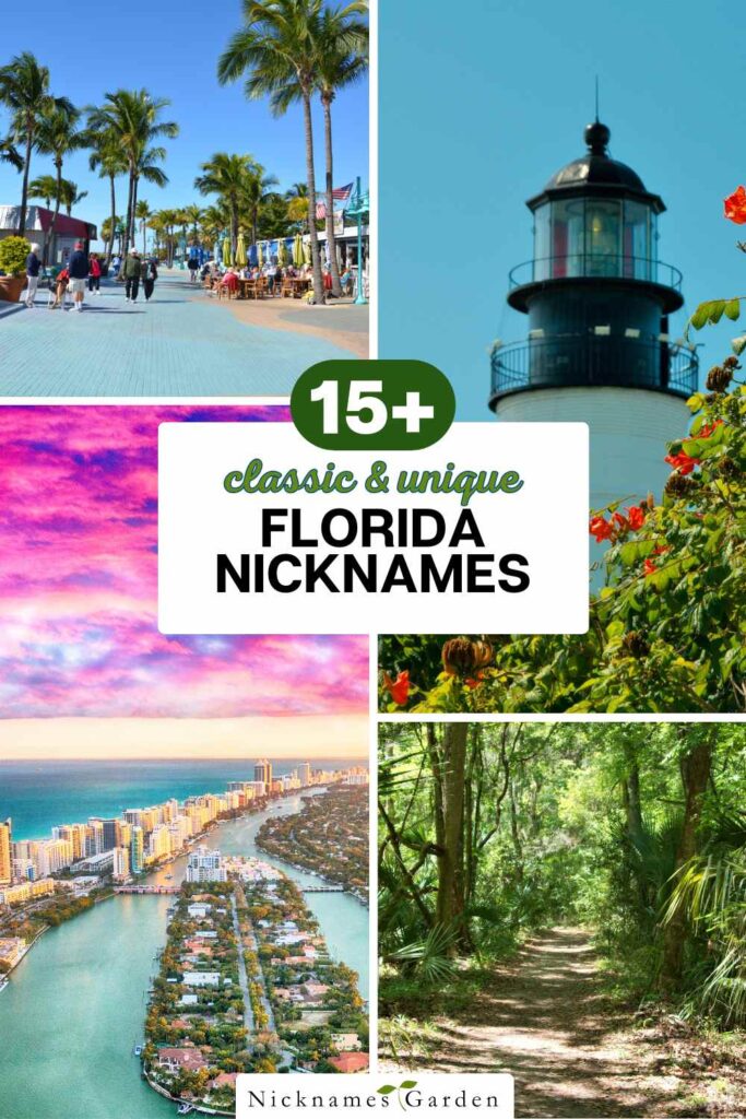 Florida nicknames pin