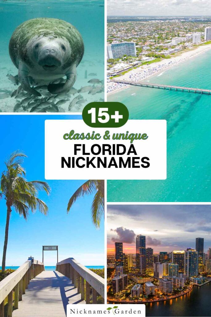 Florida nicknames pin