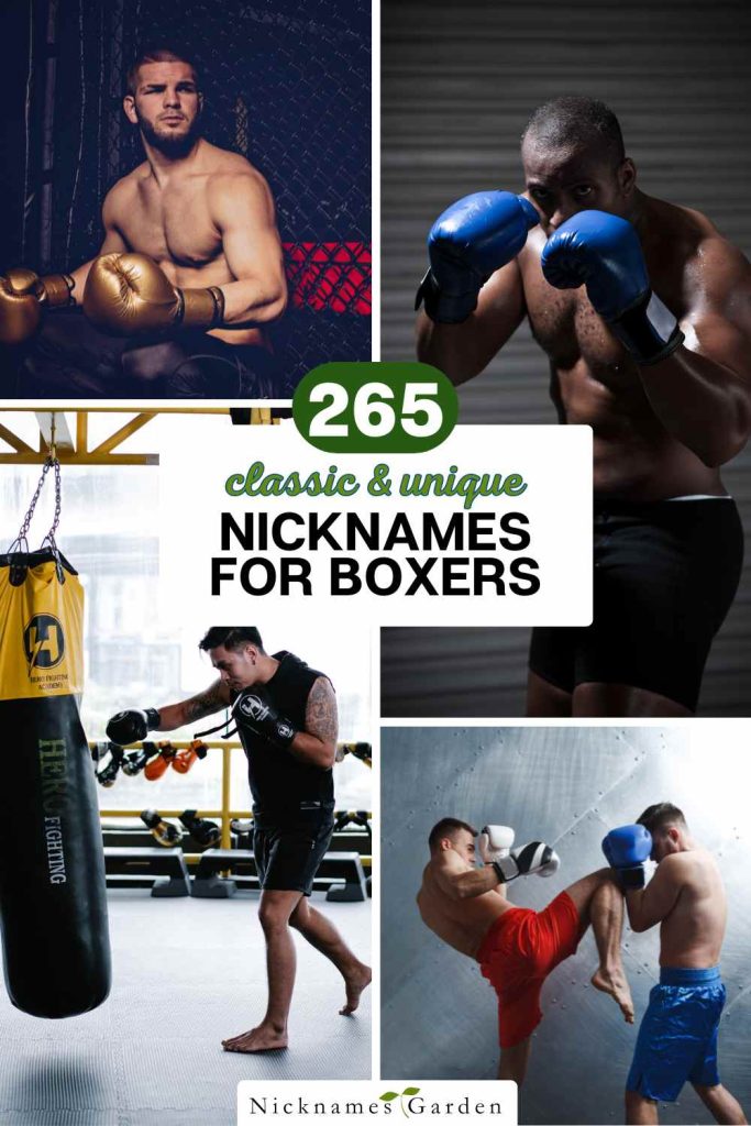 265 Fierce & Classic Nicknames For Boxers