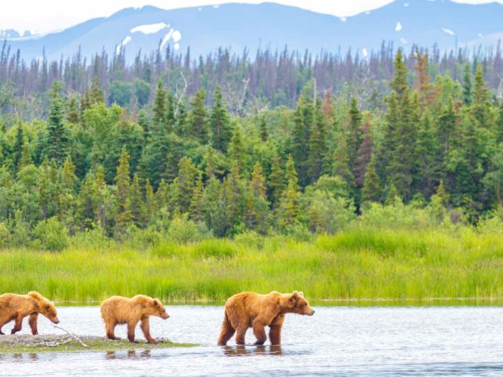 nicknames for Alaska