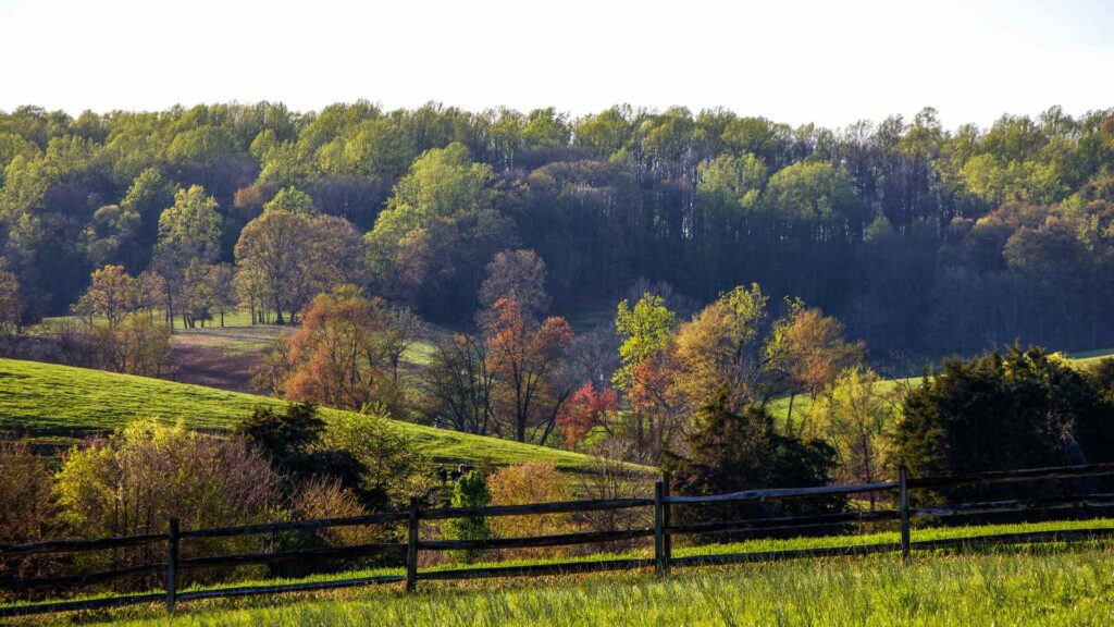 Virginia nicknames