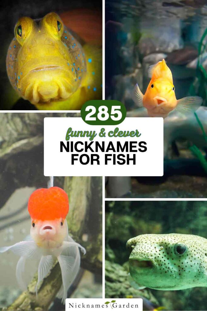 funny fish nicknames pin