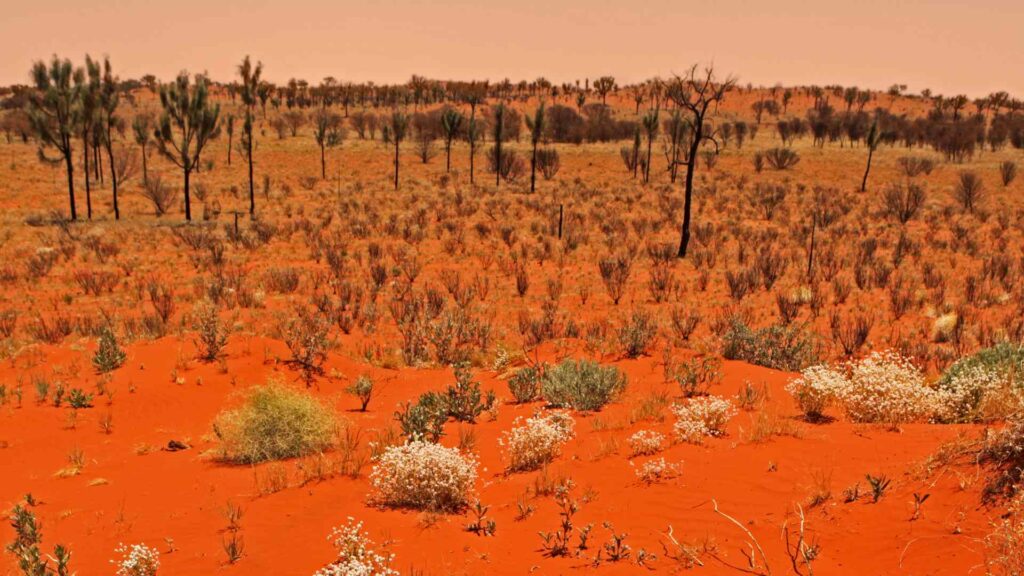 australian outback nicknames