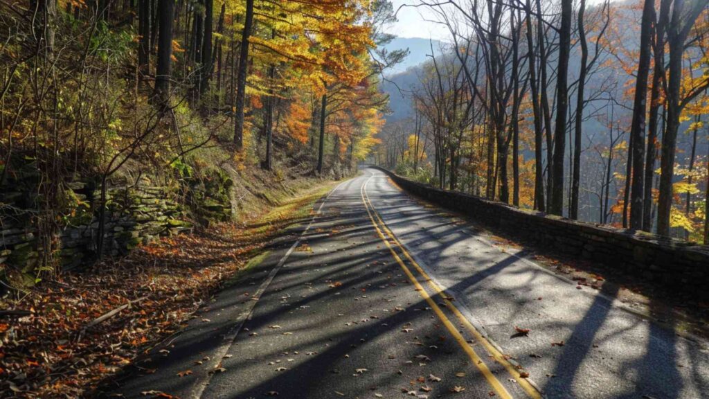 North Carolina nicknames