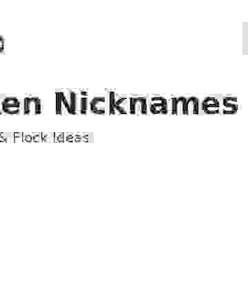 Chicken Nicknames feature graphic
