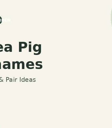 Guinea Pig Nicknames feature graphic