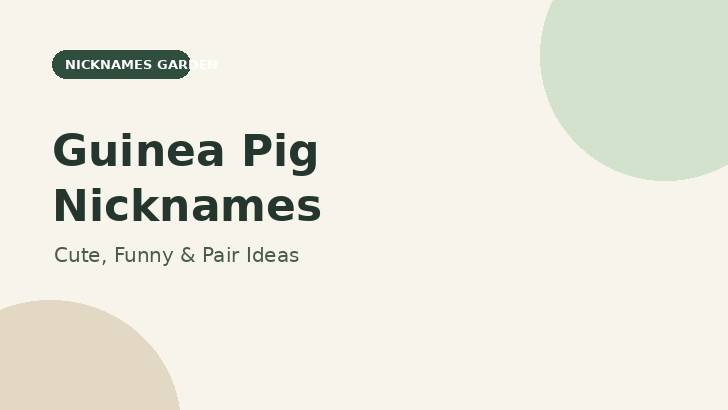 Guinea Pig Nicknames feature graphic