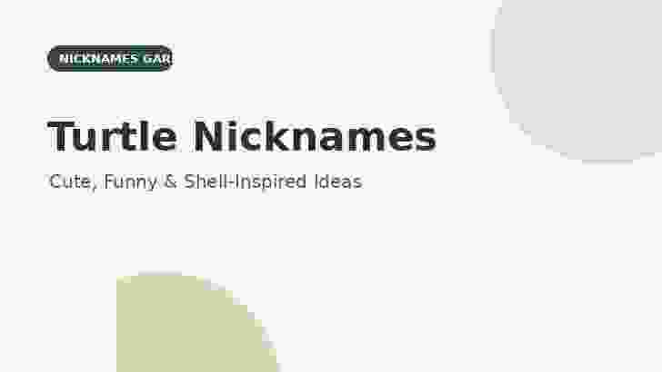 Turtle Nicknames feature graphic